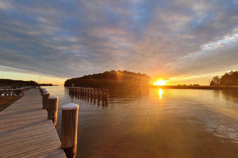 Stillness at the Edge of the Chesapeake