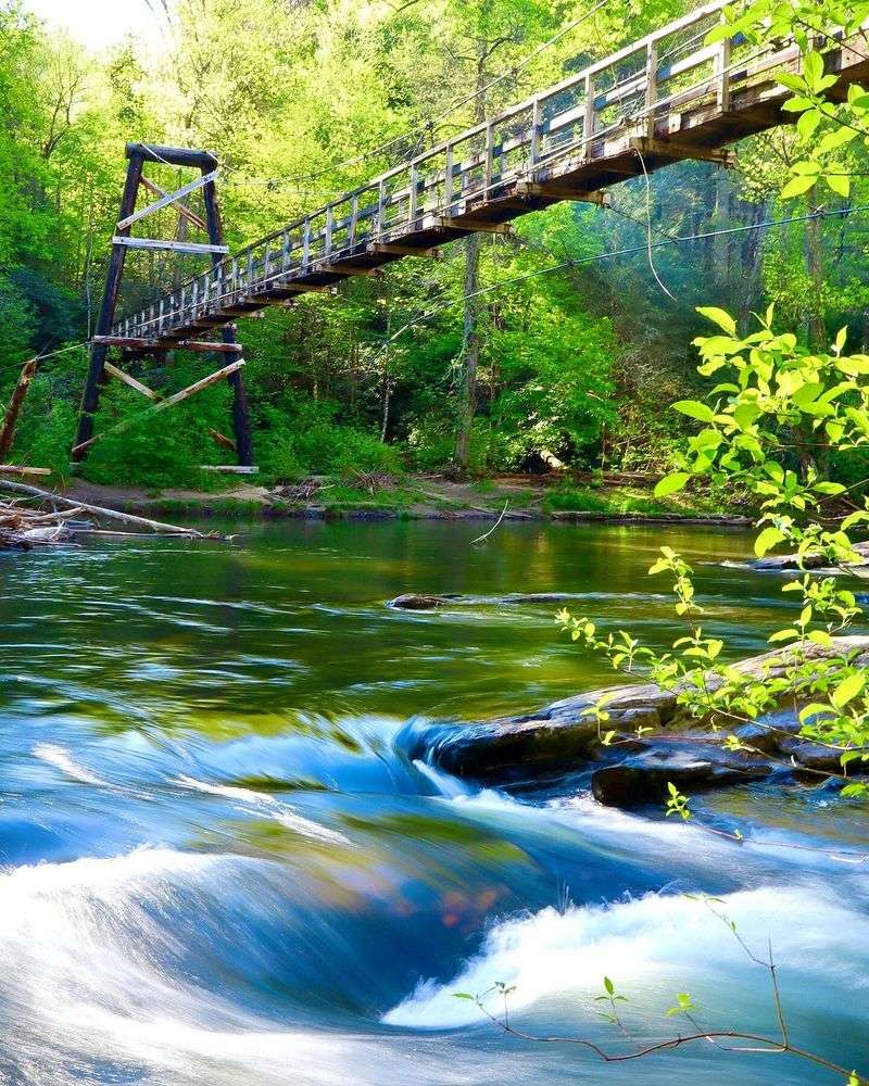 A Divided Local Opinion