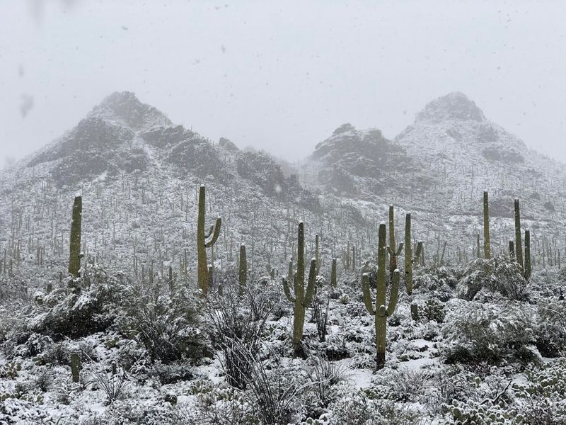 You Can Drive From Tundra To Desert In Hours