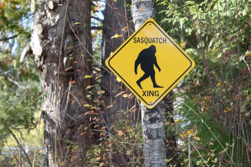 Sasquatch is Protected
