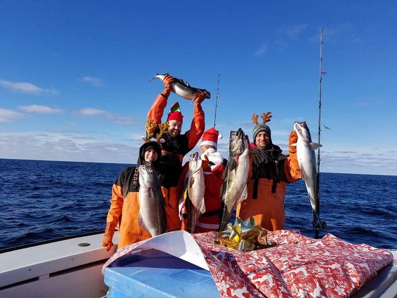 Guaranteed Freshness and Local Catch