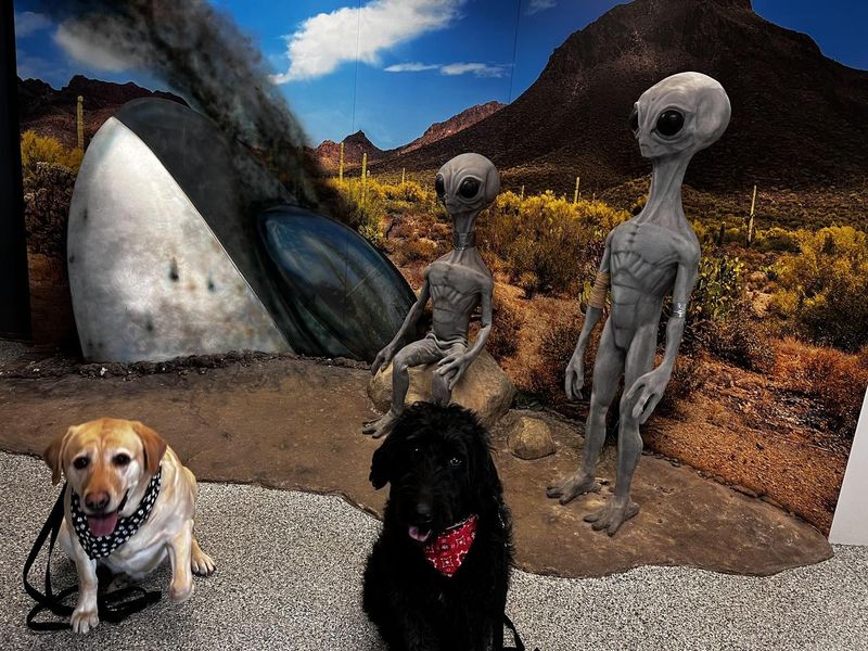 Reviewers Say It’s Worth the Stop