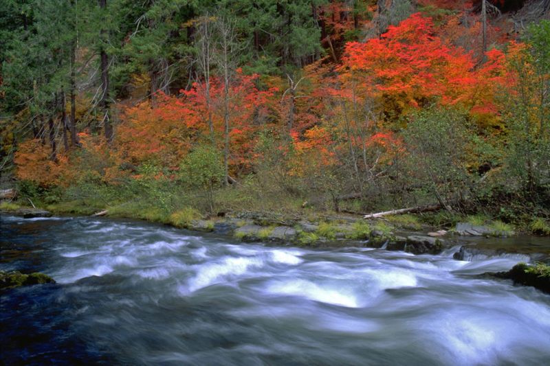 Best Times to Visit Without Overwhelming Locals