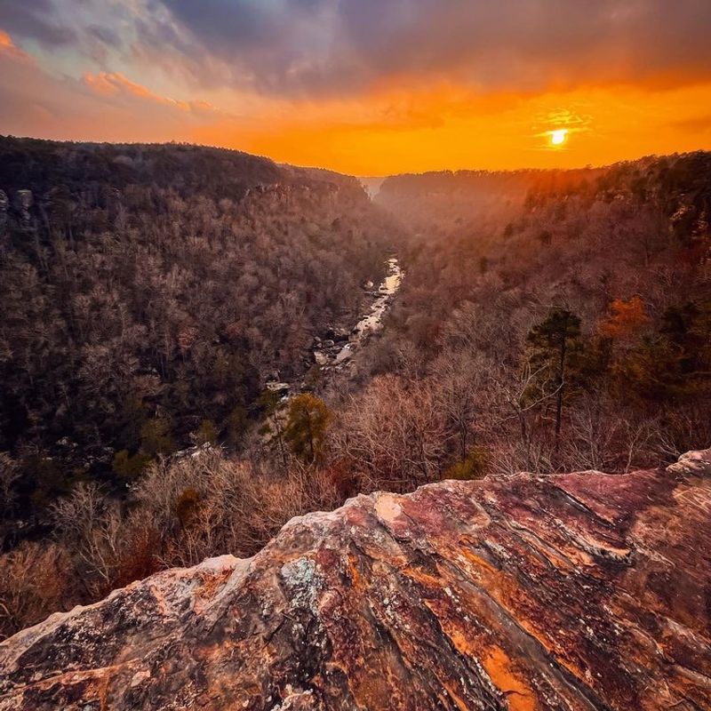 The Beauty of Nature's Canvas