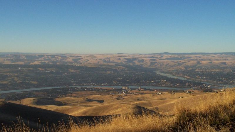 A View from the Hills