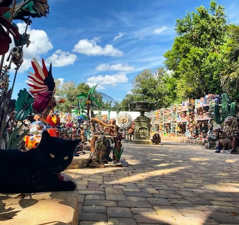 Locals, Road-Trippers and Curiosity Hunters