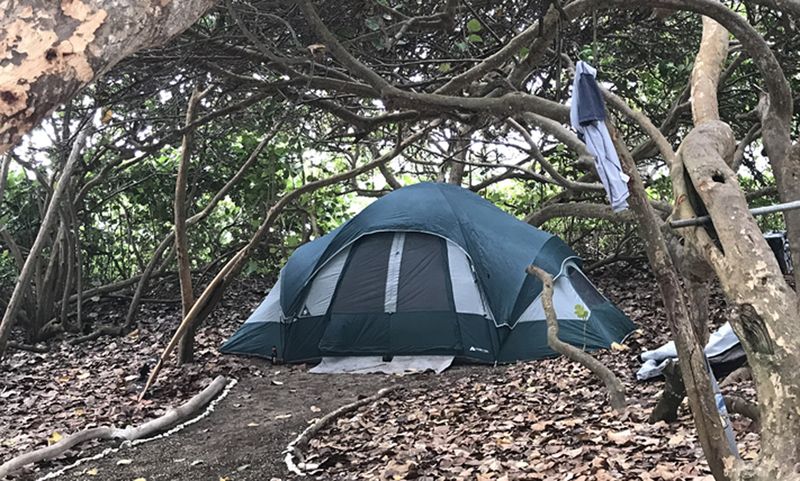 Lessons from the Land