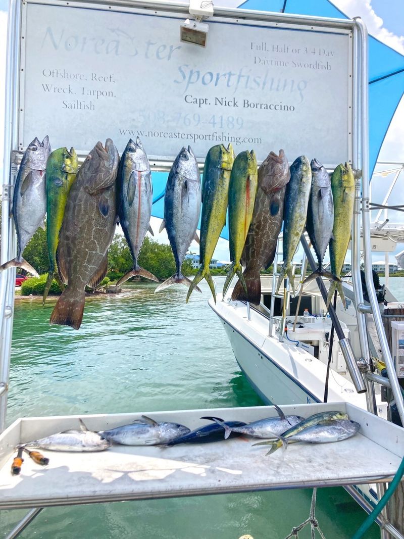 From Boat to Bun: The Secret Behind the Freshness