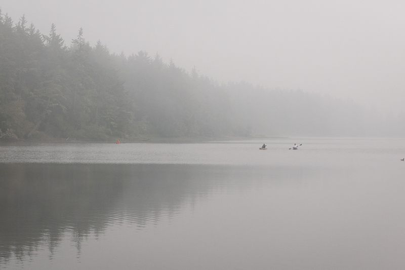 When Fog Transforms the Landscape