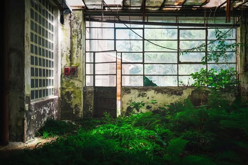 Nature's Patient Reclamation of the Space
