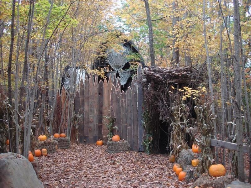 A Farm Born From Haunted Roots