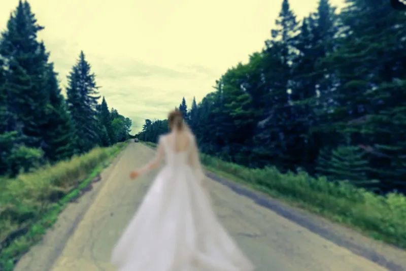 The Ghost Bride Hitchhiker