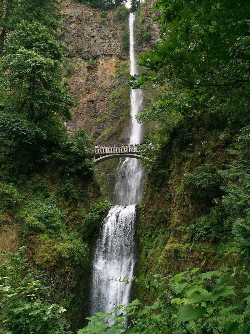 Why Multnomah Falls Is Oregon's Most Famous Cascade