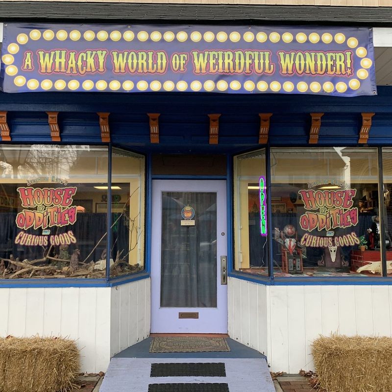 House of Oddities and Curious Goods