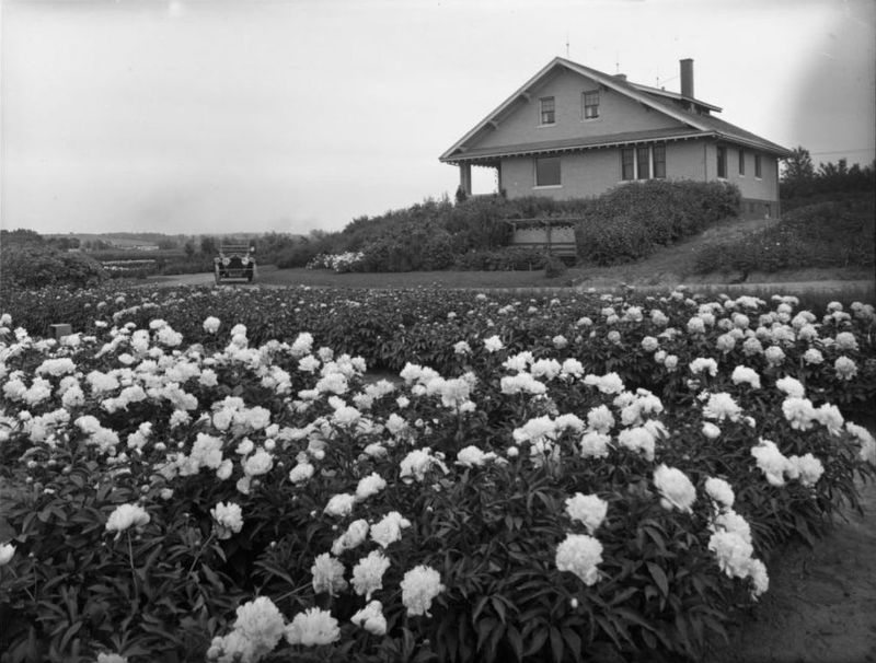 The Park's Roots: From Farmhouse To Peonies