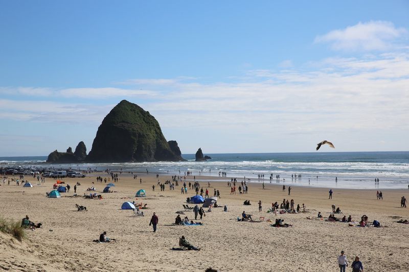 Visitors Who Love It, Residents Who Endure It