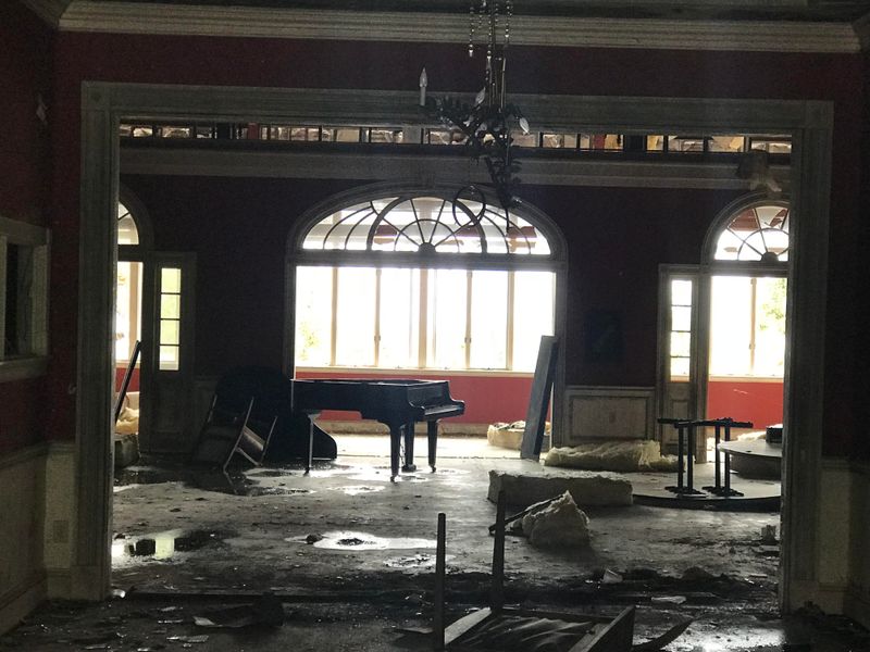 Nature Reclaims the Property