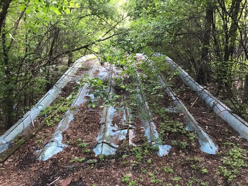 Nature Reclaims the Forgotten Playground