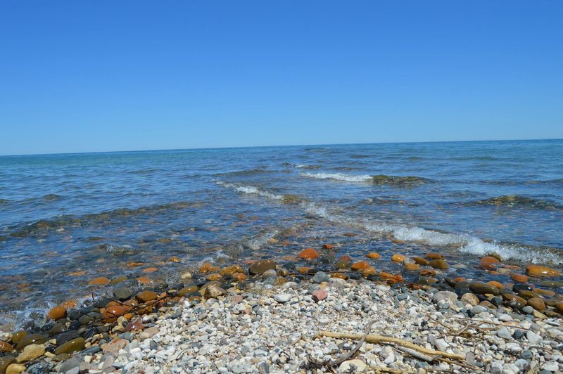 Beaches Have Rocks, Stones, and Zebra Mussels
