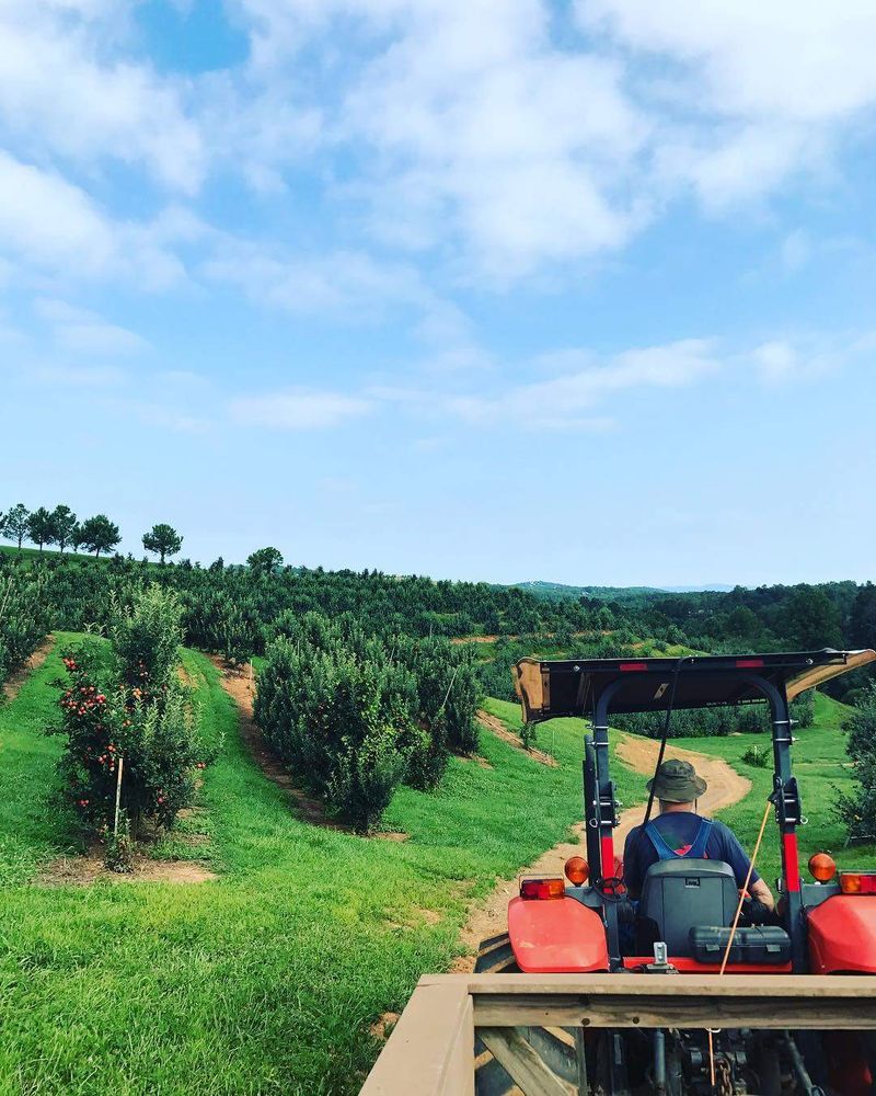 A Slice of Southern Heritage