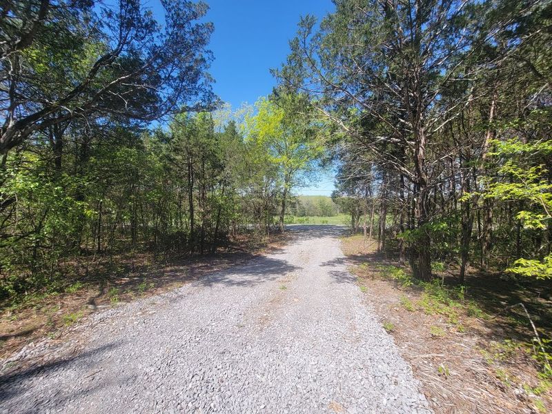 Alleged Site of Witchcraft