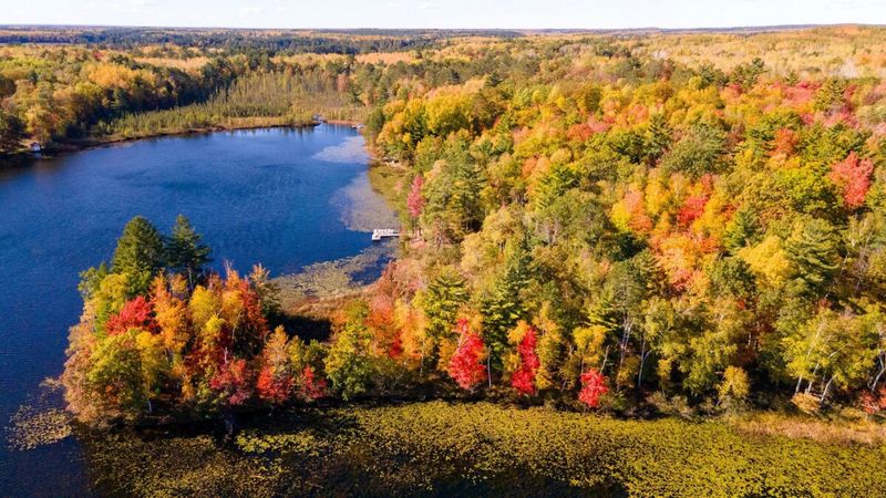 The Autumn Color Explosion in the Northwoods