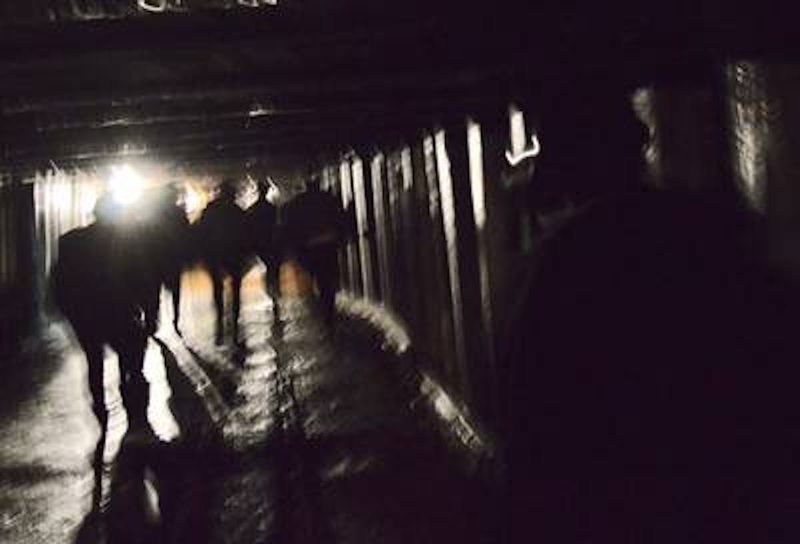 Whispers in the Dark