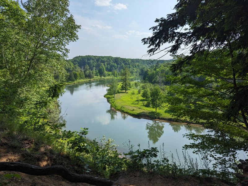 Why Michigan’s National Forests Feel So Wild