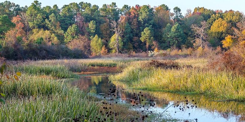 The Delta Is More Than Flat Land