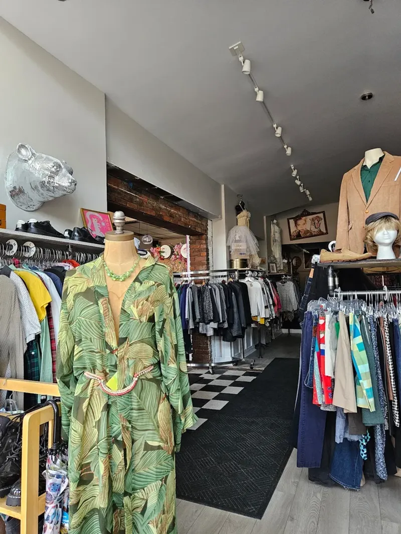 Nine Lives Thrift: A Cat Lover's Paradise