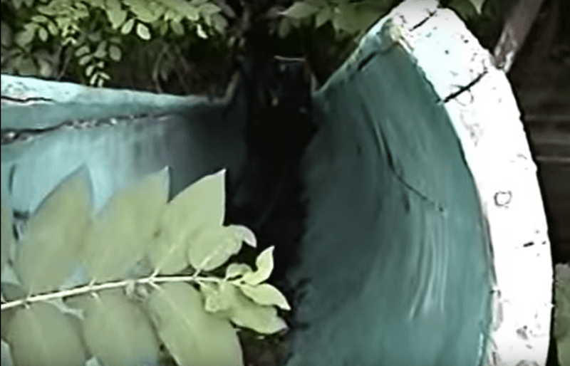 Concrete Slides and DIY Summer Magic