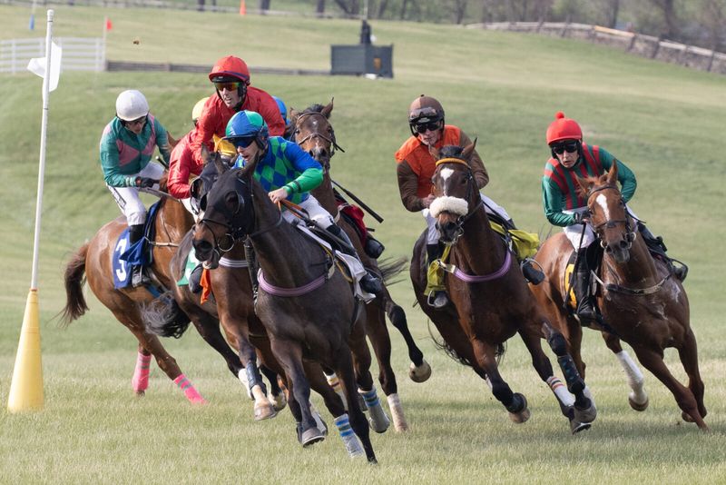 Experience the Horse and Hunt Capital