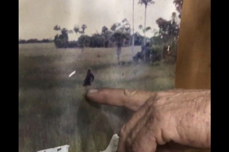 Skunk Ape Sightings in the Everglades