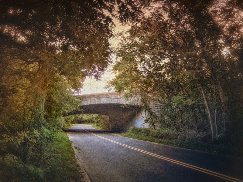 The Enigmatic Lanterns