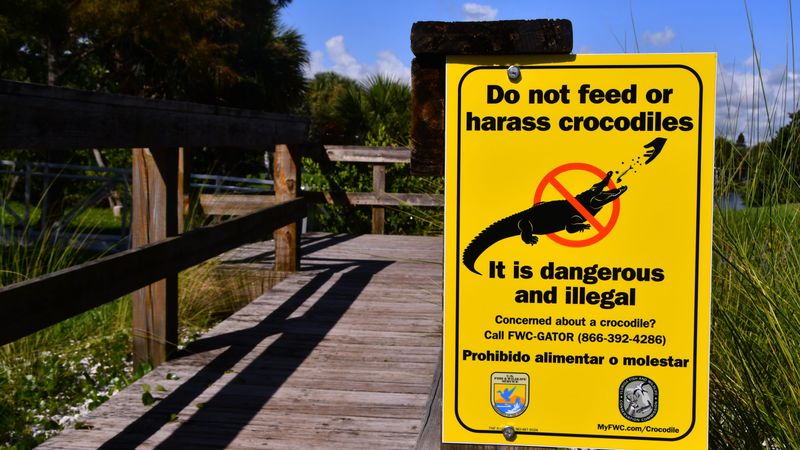 Feeding wildlife is illegal almost everywhere