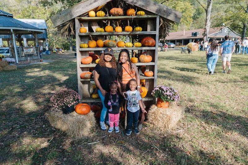 Nashville Fall Festival