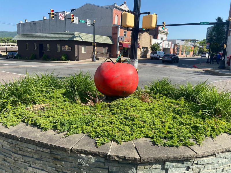The Giant Jersey Tomato In Hightstown