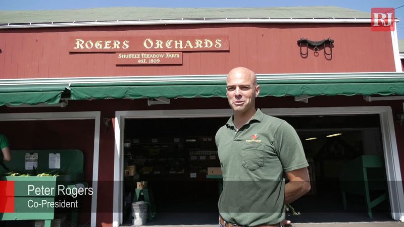 Fresh cider sets them apart