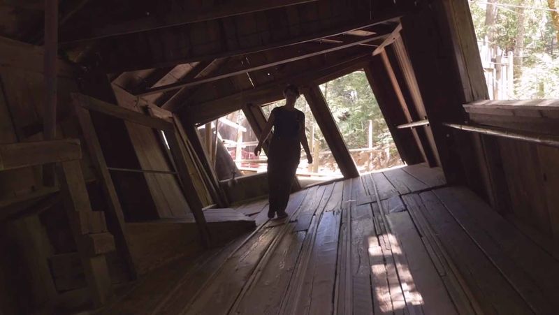 The History of the Oregon Vortex