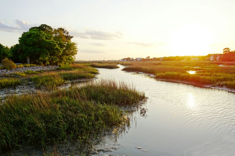 The Lowcountry isn’t just a tourist zone, it has its own heartbeat
