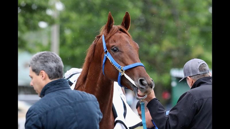 They Can't Tell the Difference Between a Yearling and a Broodmare