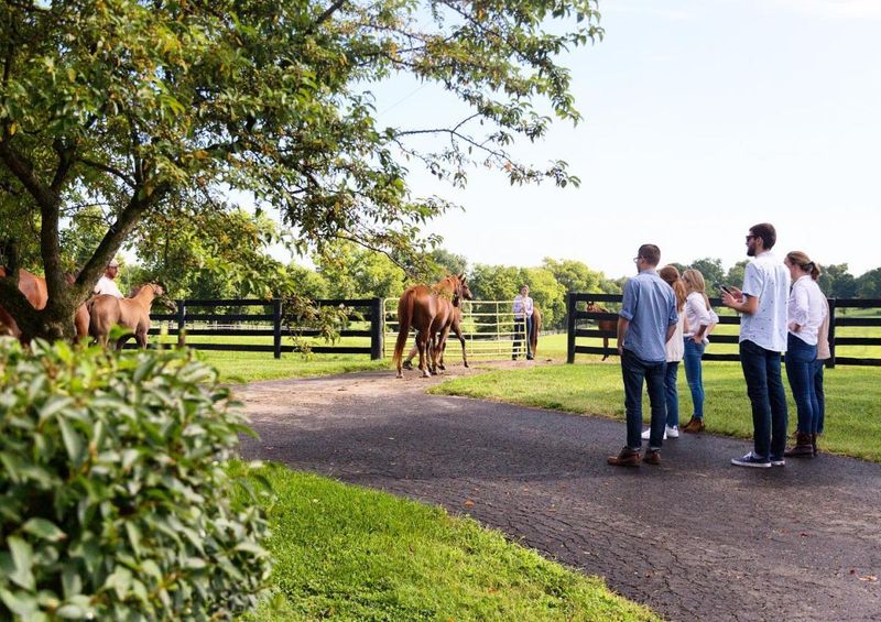 They Don't Realize That Locals Rarely Tour the Farms