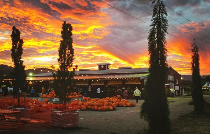 A Storied Farm with Spooky Roots