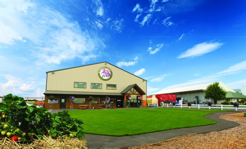 A Berry Lover's Paradise Near Salem