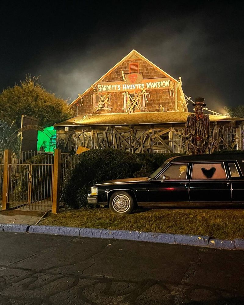 A Long, Immersive Journey Through Fields and Woods