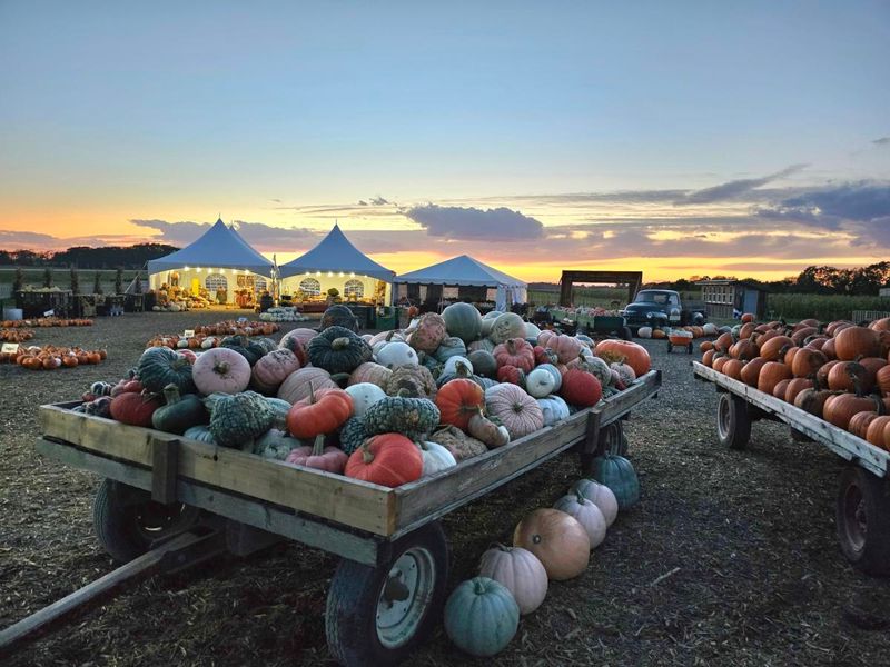 A Classic Wisconsin Orchard Experience