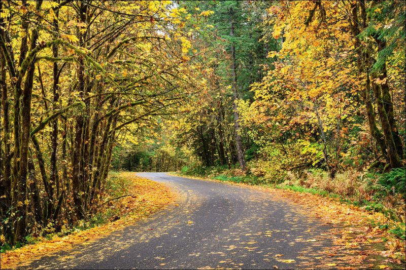 West Cascades Scenic Byway