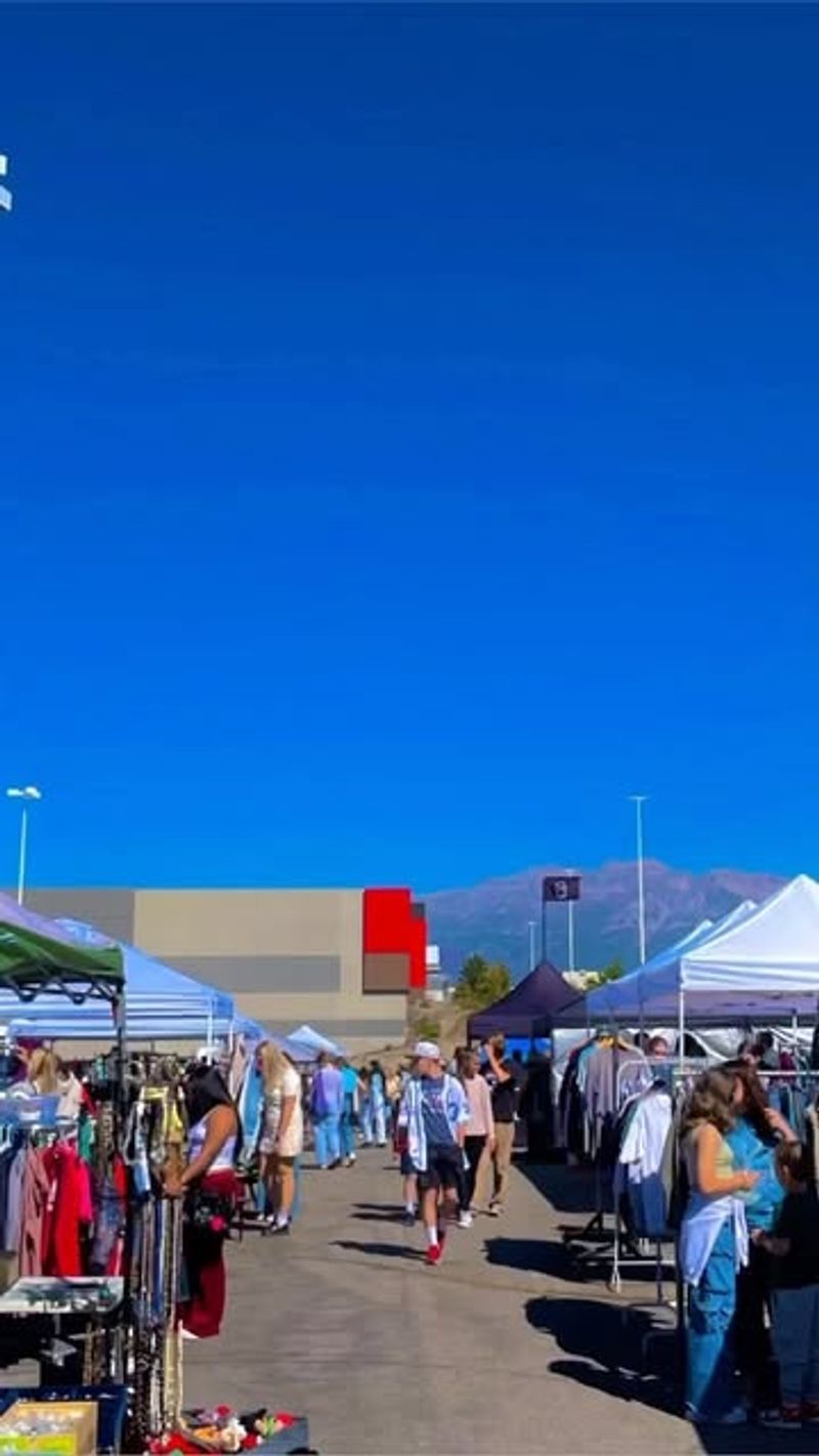 The Collective Underground