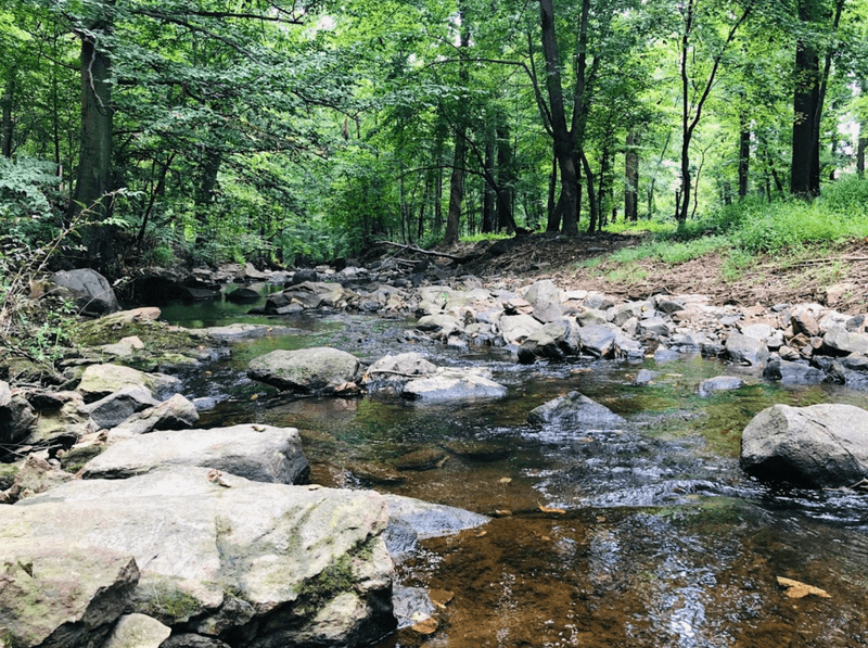 The Mysterious Natural Springs That Started It All