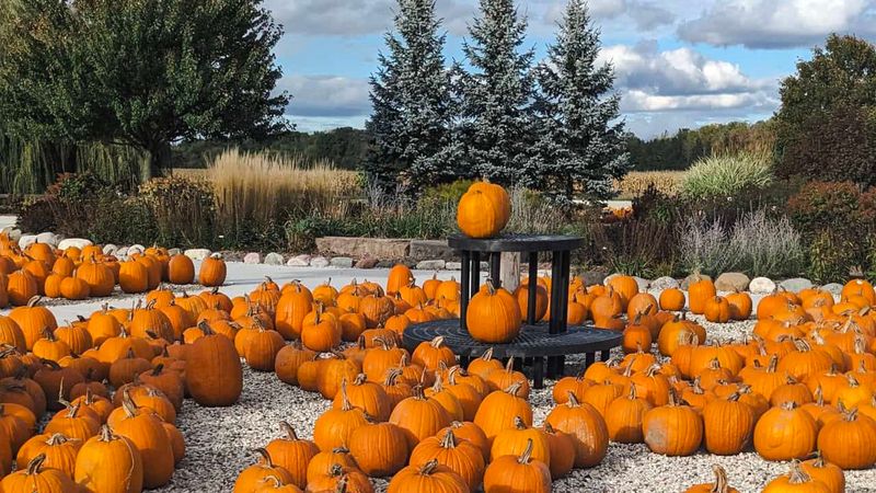 Combining Daytime Charm With Nighttime Frights